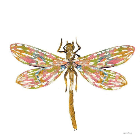 Dainty Dragonfly White Modern Wood Framed Art Print with Double Matting by Mingo, Jessica