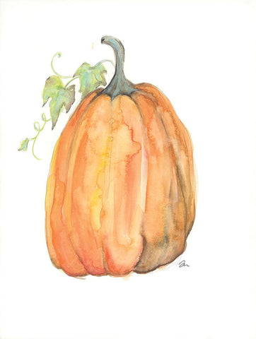 Plump Pumpkin White Modern Wood Framed Art Print with Double Matting by Mingo, Jessica