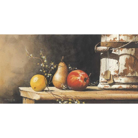 Fruit with Bucket Black Modern Wood Framed Art Print with Double Matting by Rossini, John