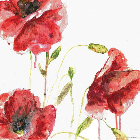 Poppies White Modern Wood Framed Art Print with Double Matting by Kamdon Kreations