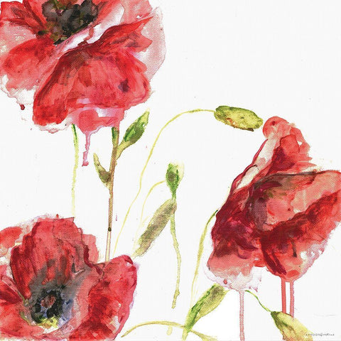 Poppies Black Modern Wood Framed Art Print with Double Matting by Kamdon Kreations
