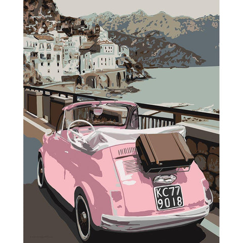 Pink Bug in Europe Black Modern Wood Framed Art Print with Double Matting by Kamdon Kreations