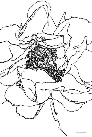 Organic Perfection Black Ornate Wood Framed Art Print with Double Matting by Kamdon Kreations