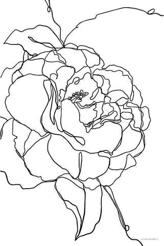 Beauty at Any Angle White Modern Wood Framed Art Print with Double Matting by Kamdon Kreations