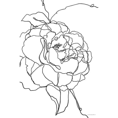 Beauty at Any Angle Black Modern Wood Framed Art Print by Kamdon Kreations