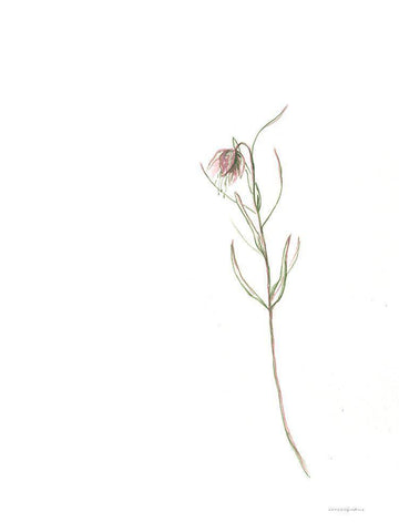 Arise White Modern Wood Framed Art Print with Double Matting by Kamdon Kreations