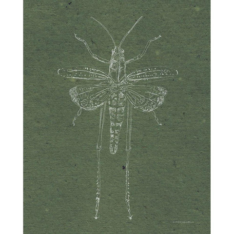 Now Climb Young Grasshopper Gold Ornate Wood Framed Art Print with Double Matting by Kamdon Kreations