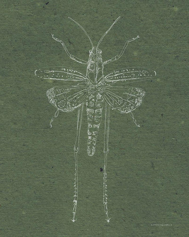 Now Climb Young Grasshopper Black Ornate Wood Framed Art Print with Double Matting by Kamdon Kreations