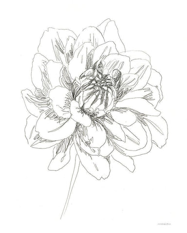 The Center of things White Modern Wood Framed Art Print with Double Matting by Kamdon Kreations