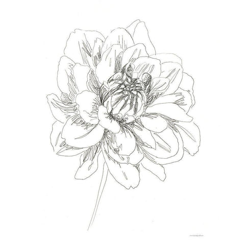 The Center of things White Modern Wood Framed Art Print by Kamdon Kreations