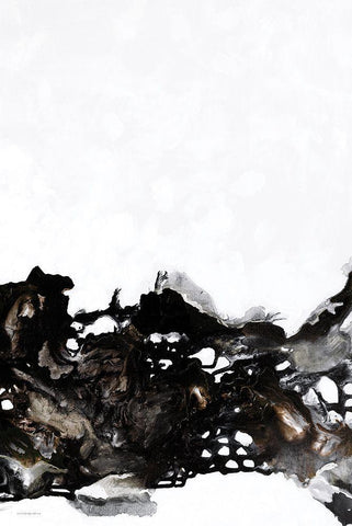 Aftermath Black Ornate Wood Framed Art Print with Double Matting by Kamdon Kreations