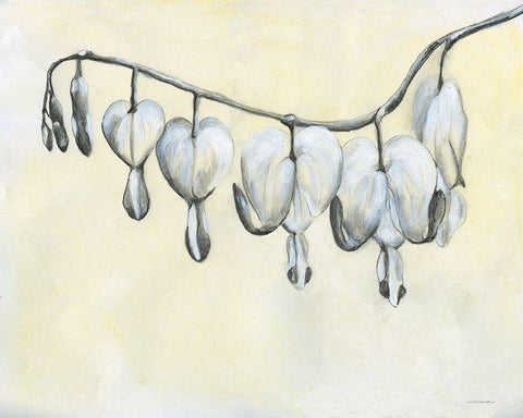Bleeding Heart White Modern Wood Framed Art Print with Double Matting by Kamdon Kreations