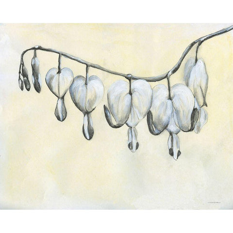 Bleeding Heart White Modern Wood Framed Art Print by Kamdon Kreations
