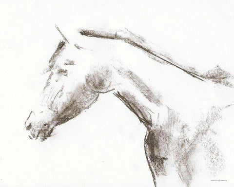 Whisper of Beauty Black Ornate Wood Framed Art Print with Double Matting by Kamdon Kreations