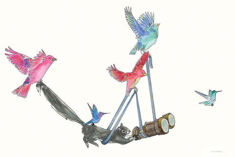 Bird Watching Black Ornate Wood Framed Art Print with Double Matting by Kamdon Kreations