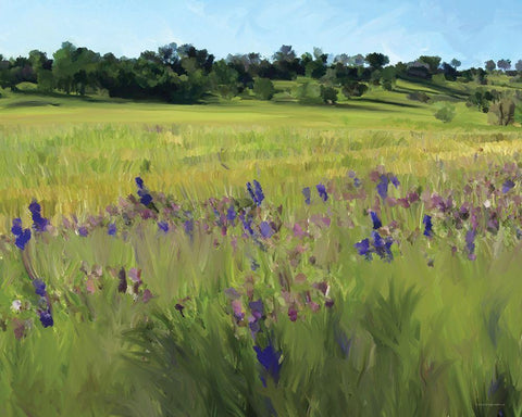Bidwell Park White Modern Wood Framed Art Print with Double Matting by Kamdon Kreations
