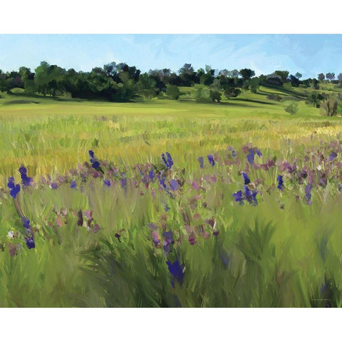 Bidwell Park Black Modern Wood Framed Art Print with Double Matting by Kamdon Kreations