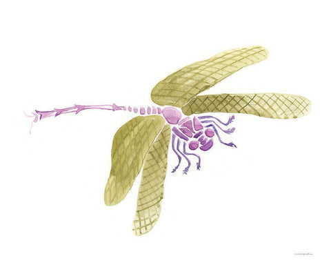 Dragon Lady White Modern Wood Framed Art Print with Double Matting by Kamdon Kreations