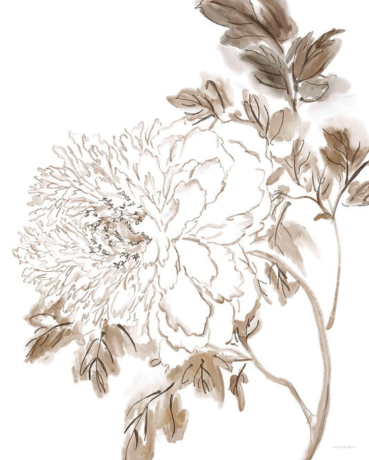 Image Only