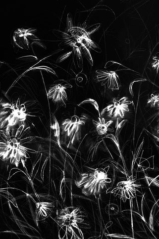 Beauty in the Darkness White Modern Wood Framed Art Print with Double Matting by Kamdon Kreations