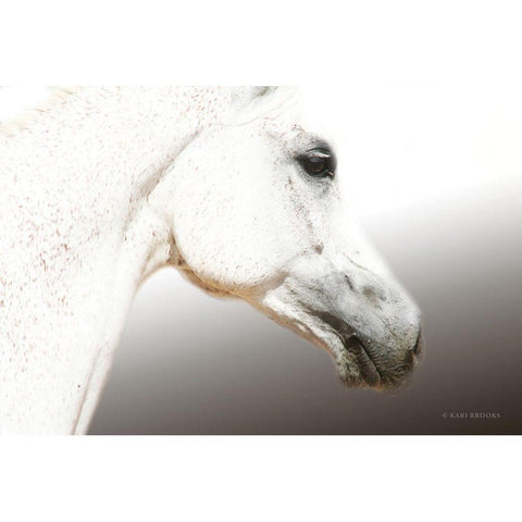 Eye See You Black Modern Wood Framed Art Print with Double Matting by Brooks, Kari