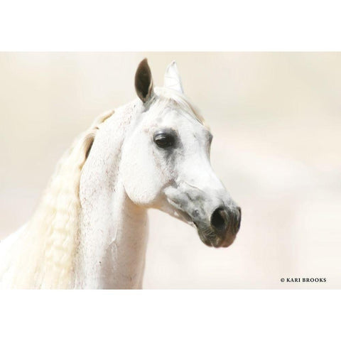 Aloof White Modern Wood Framed Art Print by Brooks, Kari