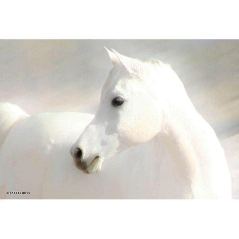 White Arab II Black Modern Wood Framed Art Print by Brooks, Kari