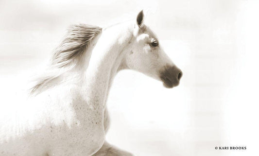 Image Only