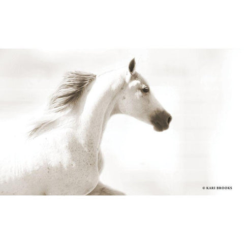 Dash III Black Modern Wood Framed Art Print by Brooks, Kari