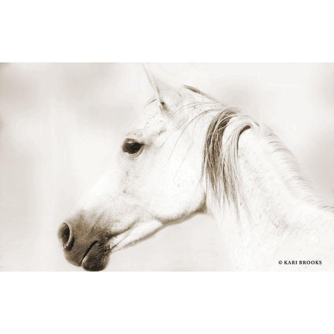 Dash IV Black Modern Wood Framed Art Print by Brooks, Kari