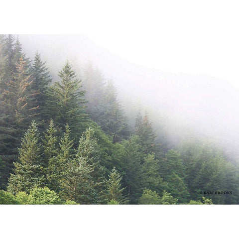 Alaska Green Trees I Black Modern Wood Framed Art Print by Brooks, Kari