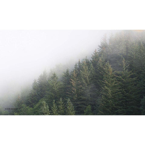 Alaska Green Trees II Gold Ornate Wood Framed Art Print with Double Matting by Brooks, Kari