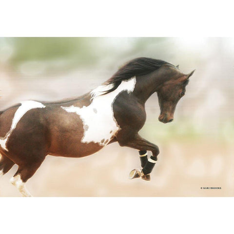 A Wild Kookie Black Modern Wood Framed Art Print with Double Matting by Brooks, Kari