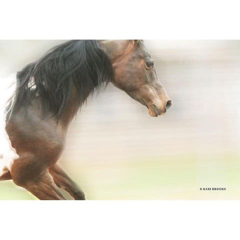 Leap of Faith Black Modern Wood Framed Art Print by Brooks, Kari