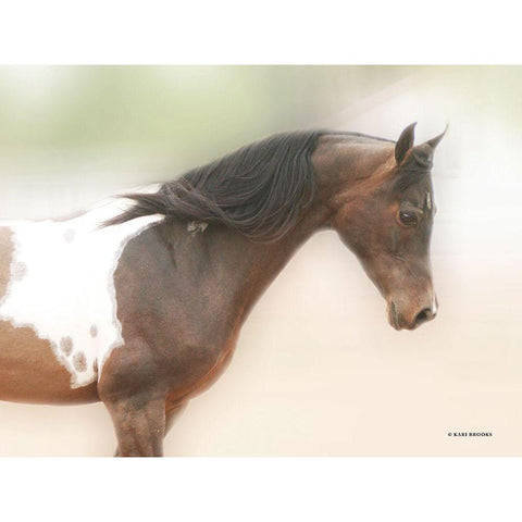 Painted Beauty Black Modern Wood Framed Art Print by Brooks, Kari