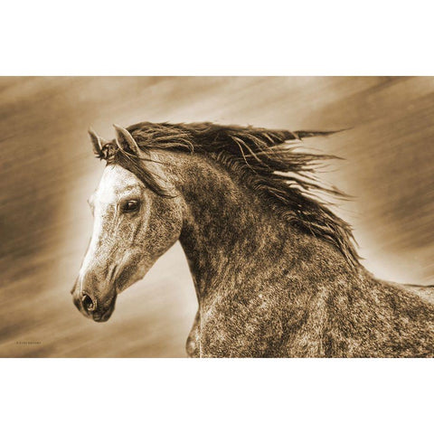 Addie Gray Black Modern Wood Framed Art Print with Double Matting by Brooks, Kari