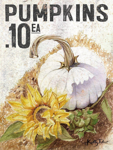 White Harvest Pumpkin White Modern Wood Framed Art Print with Double Matting by Talent, Kelley