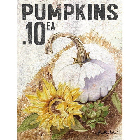 White Harvest Pumpkin White Modern Wood Framed Art Print by Talent, Kelley