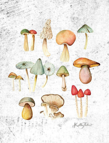 Woodland Mushrooms White Modern Wood Framed Art Print with Double Matting by Talent, Kelley
