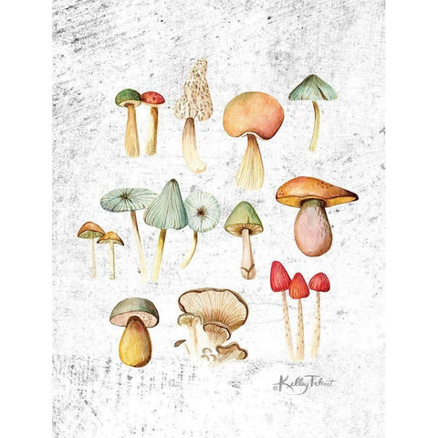 Woodland Mushrooms White Modern Wood Framed Art Print by Talent, Kelley