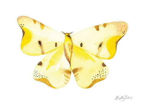 Take Flight II White Modern Wood Framed Art Print with Double Matting by Talent, Kelley