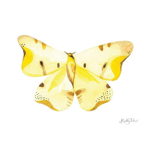 Take Flight II White Modern Wood Framed Art Print by Talent, Kelley