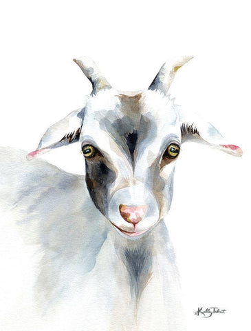Benny the Goat White Modern Wood Framed Art Print with Double Matting by Talent, Kelley