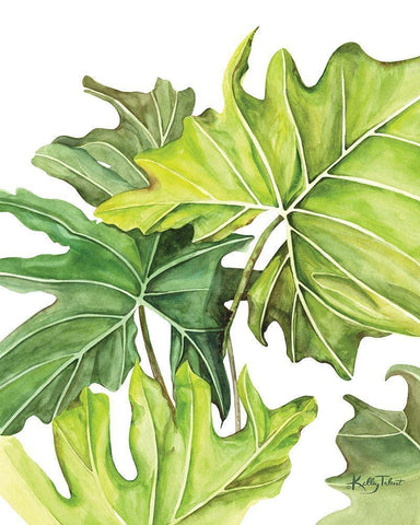 Tropical Jungle White Modern Wood Framed Art Print with Double Matting by Talent, Kelley