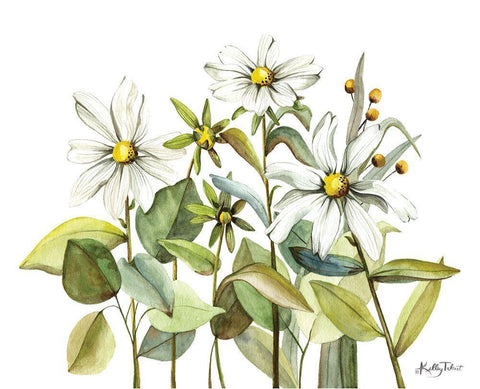 Field of Daisies White Modern Wood Framed Art Print with Double Matting by Talent, Kelley