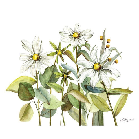 Field of Daisies White Modern Wood Framed Art Print by Talent, Kelley