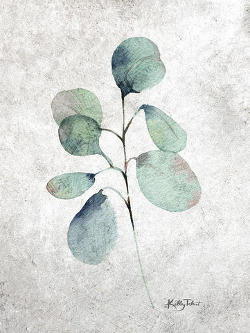 Eucalyptus Branch White Modern Wood Framed Art Print with Double Matting by Talent, Kelley