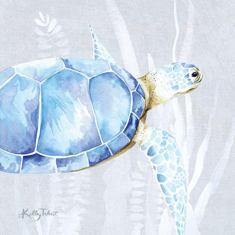 Sea Turtle I Black Modern Wood Framed Art Print with Double Matting by Talent, Kelley