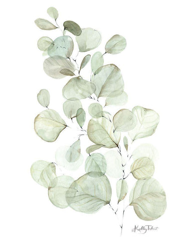 Silver Dollar Eucalyptus Black Ornate Wood Framed Art Print with Double Matting by Talent, Kelley