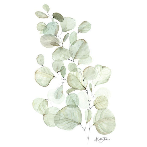 Silver Dollar Eucalyptus White Modern Wood Framed Art Print by Talent, Kelley